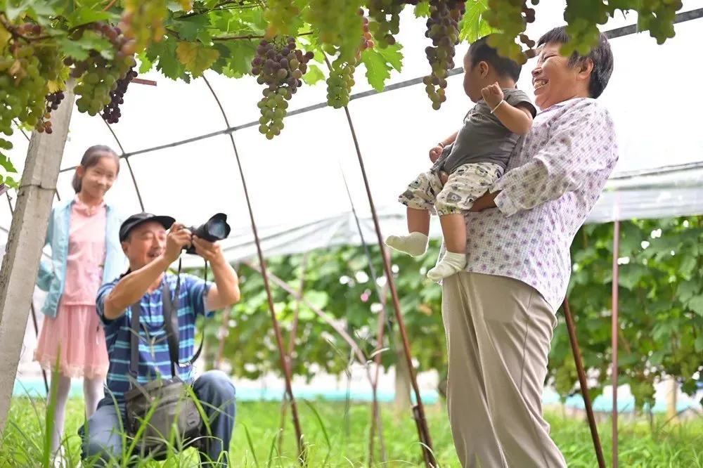 致富经农业种植_农业种植致富秘密_农民种植致富