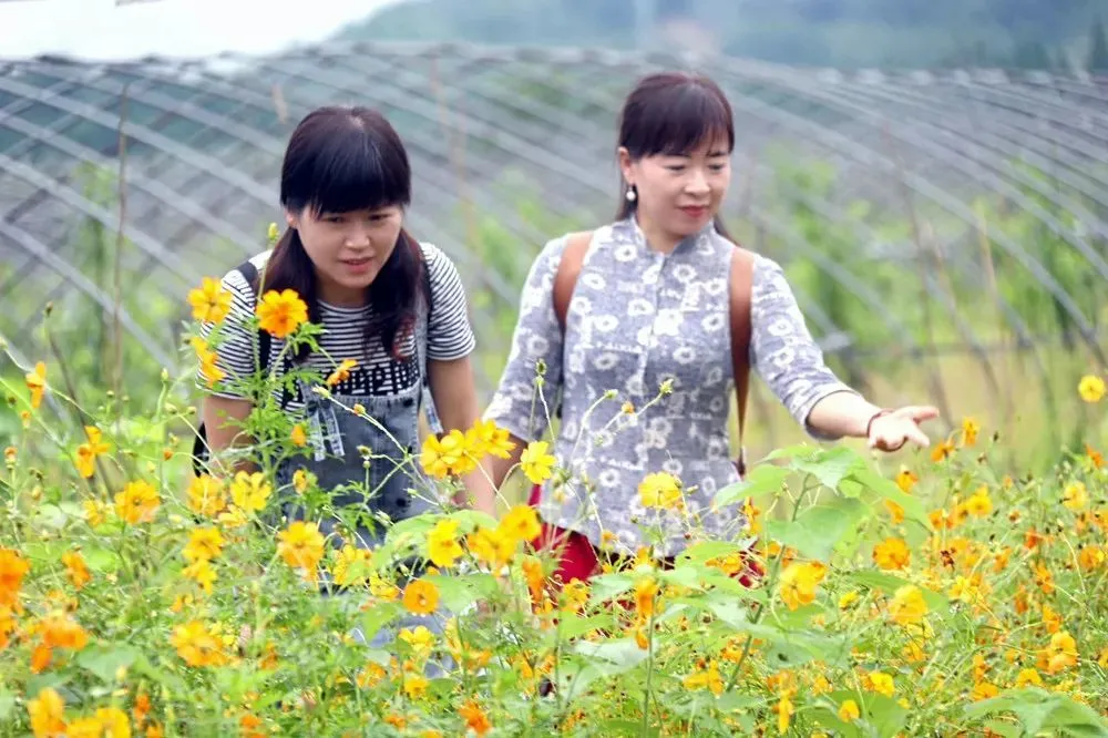 致富经农业种植_农民种植致富_农业种植致富秘密