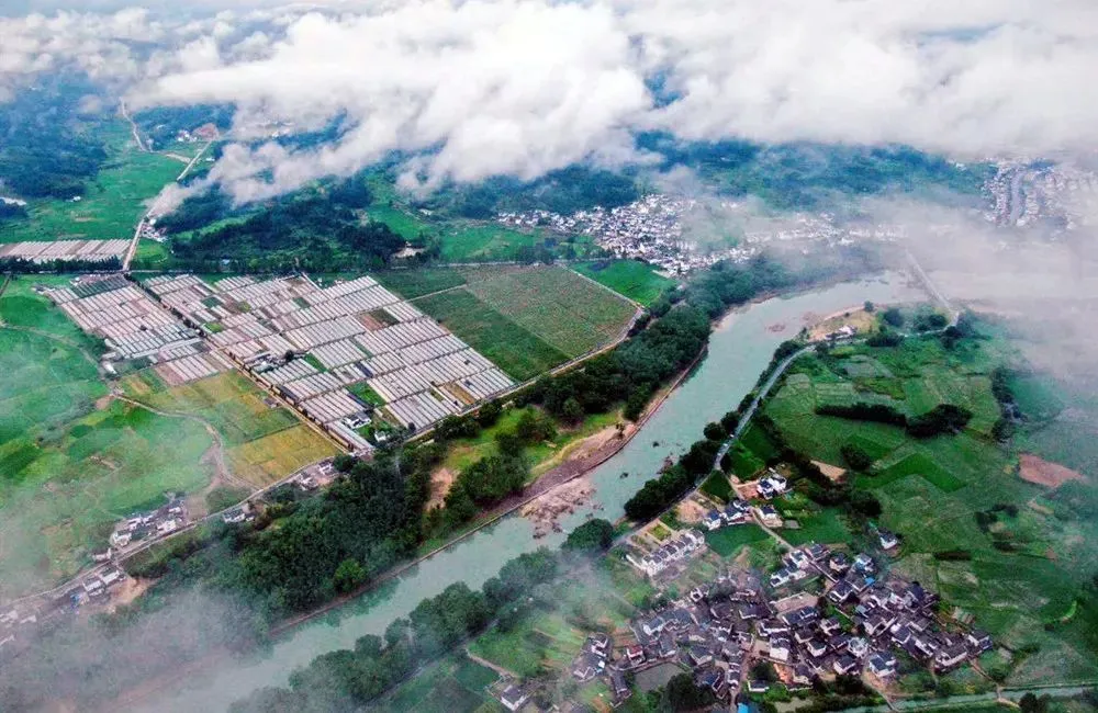 农业种植致富秘密_农民种植致富_致富经农业种植