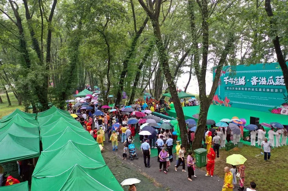 农业种植致富秘密_致富经农业种植_农民种植致富