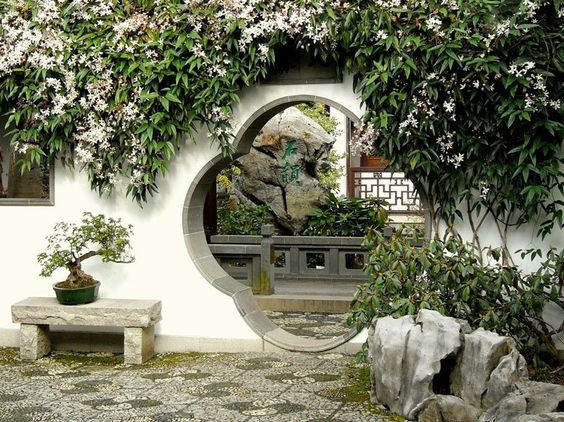 北方种植芭蕉树生长环境_芭蕉北方种植技术与管理_北方种植芭蕉管理技术视频