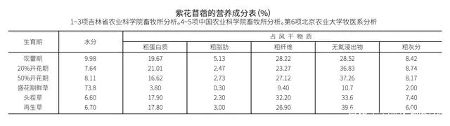 种植葡萄的技术_葡萄优质种植技术_高品质葡萄种植技术