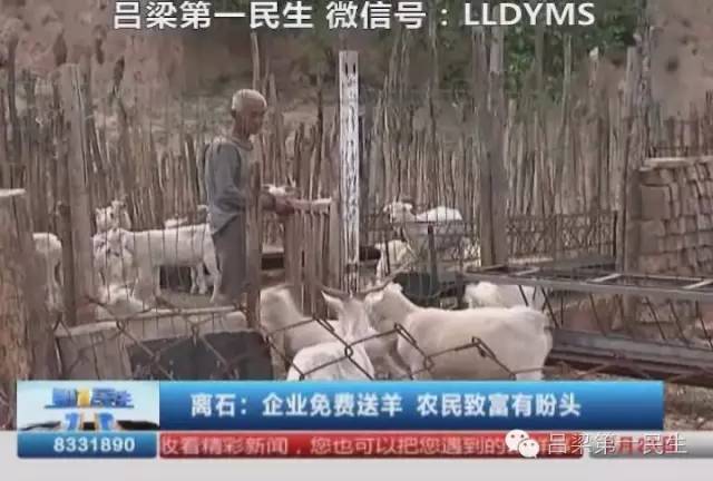 致富养殖好项目大全_企业免费养殖致富_致富养殖免费企业名单