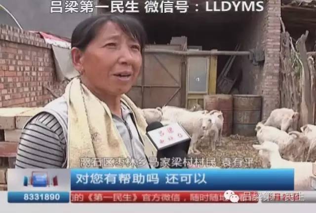 致富养殖免费企业名单_企业免费养殖致富_致富养殖好项目大全