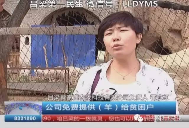 企业免费养殖致富_致富养殖好项目大全_致富养殖免费企业名单