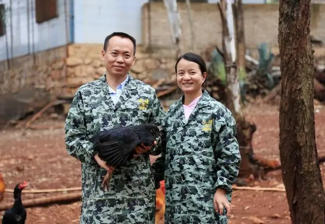 中央电视台致富经养鸡_央视致富经黑鸡_央视致富节目