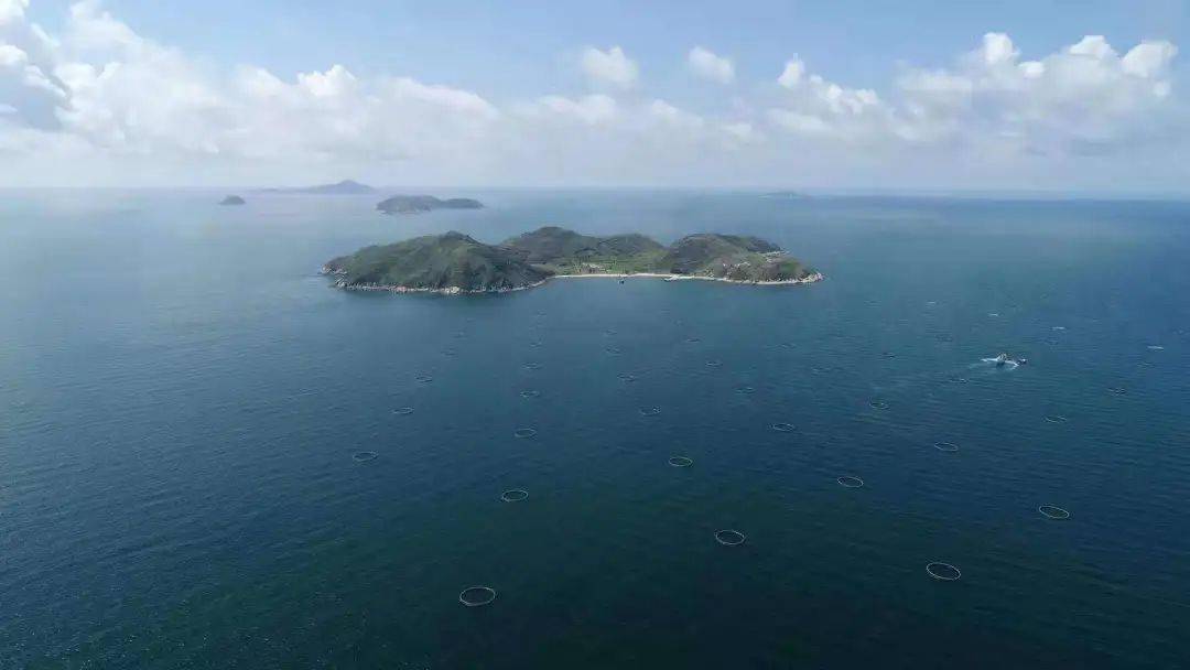 高密度养殖鱼苗_高密度养殖鱼视频_高密度鱼的养殖技术