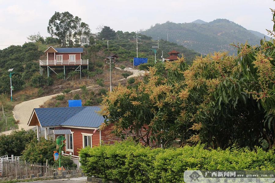 致富橘种植砂糖好吗_砂糖橘子种植_种植砂糖橘致富