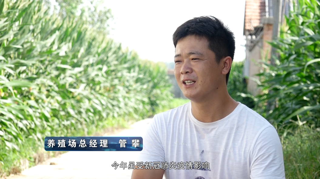 养殖致富歌_致富养殖好项目大全_养殖致富经