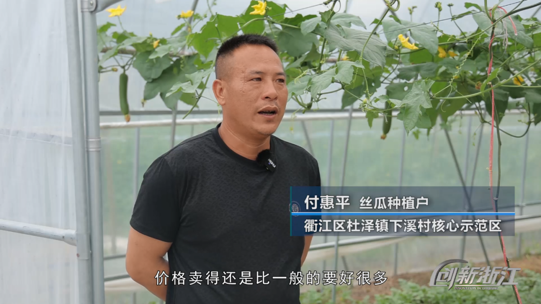 高粱高产种植技术视频_视频种植高梁技术方案_高梁种植技术视频