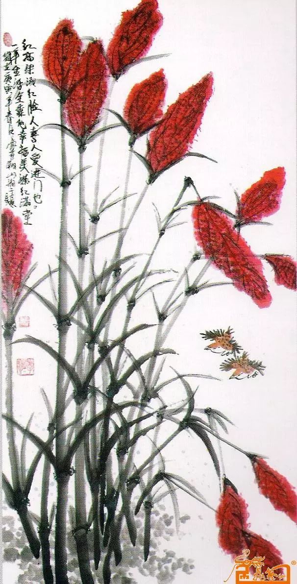 视频种植高梁技术有哪些_高梁种植技术视频_视频种植高梁技术教程