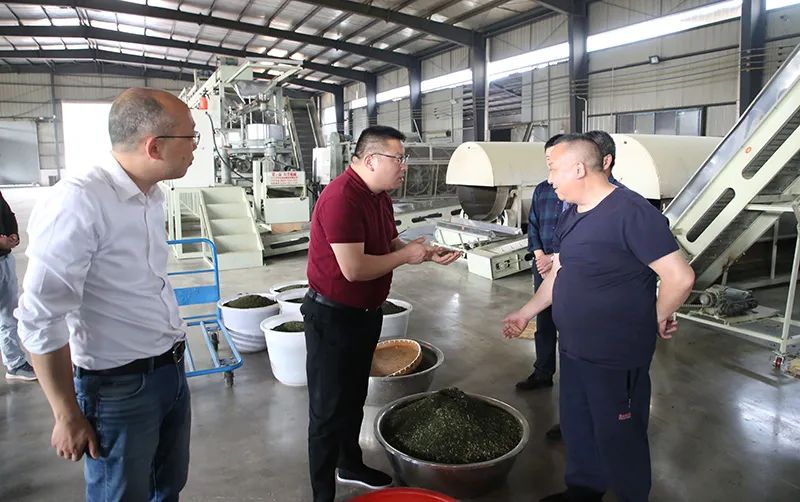 视频种植高梁技术有哪些_高梁种植技术视频_视频种植高梁技术教程