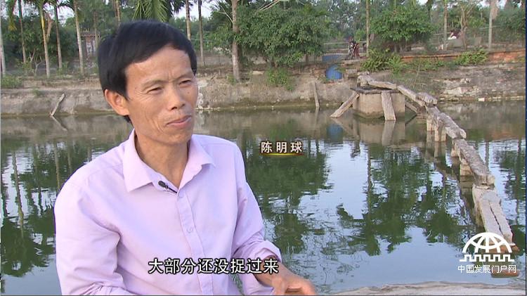 “龟痴”发龟财