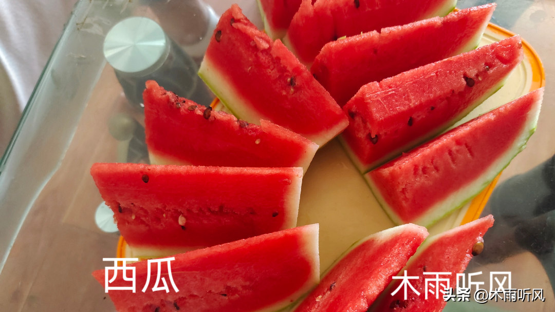 在家种植西瓜需要注意些什么？种植西瓜注意的事项
