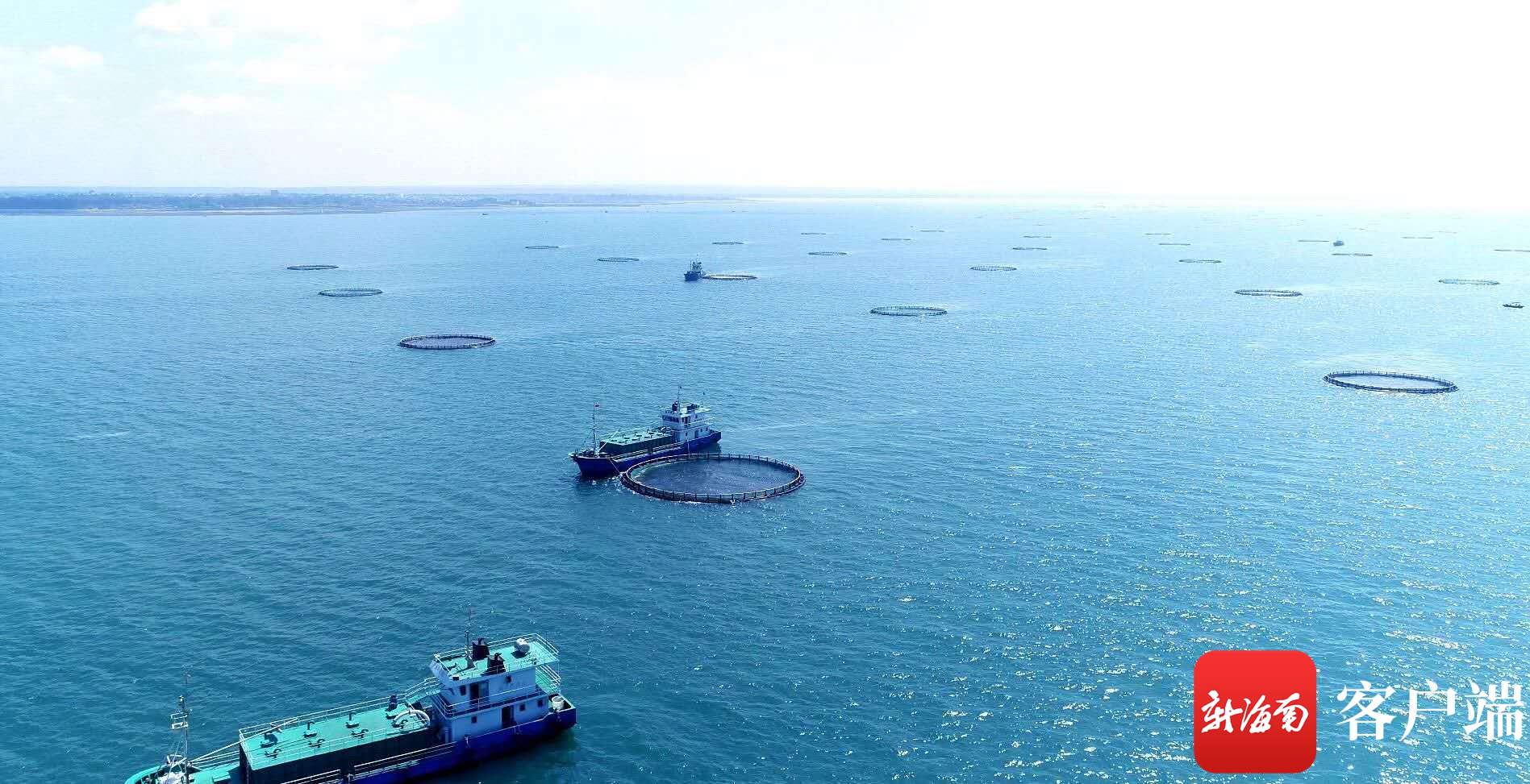囤一座“蓝色粮仓” 海南海洋养殖潜向深水区