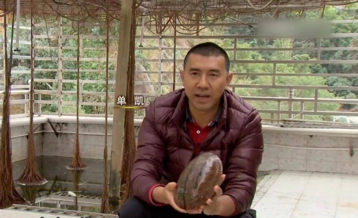 养龟致富经_致富经养龟赚钱_养龟致富视频