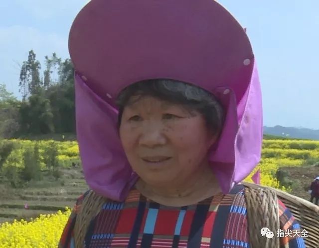 种植玫瑰增收致富_玫瑰种植收益_玫瑰种植前景亩收入