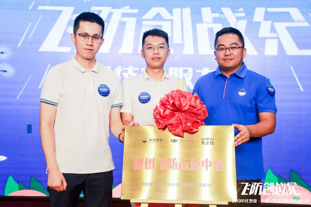 冰糖橙的种植技术_冰糖橙种植技术视频_冰糖橙种植气候条件