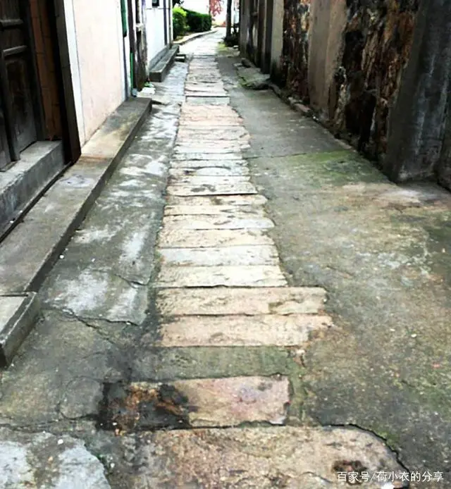 致富经二花脸猪_致富经二花脸猪_致富经二花脸猪