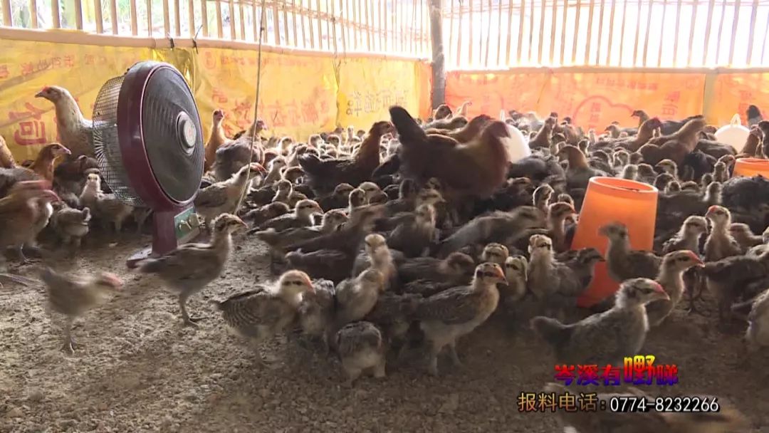 致富养殖场_致富养殖好项目_致富养殖