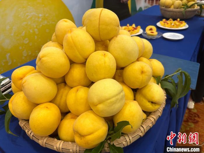 黄桃种植致富_种植黄桃的效益怎么样_致富种植黄桃怎么样