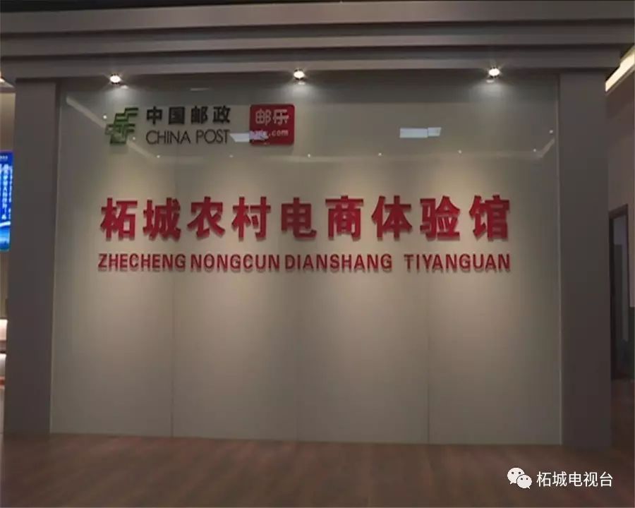 胡芹种植致富_致富经芹菜种植技术_致富种植胡芹视频