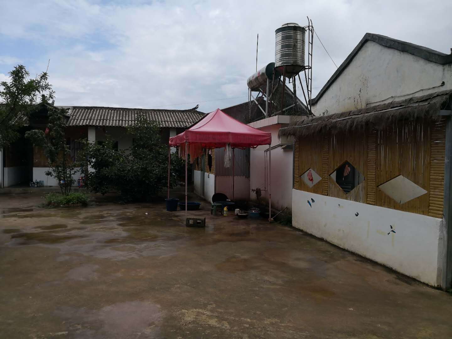 致富养殖低保户有补助吗_低保户搞养殖怎么补助_低保户养殖致富