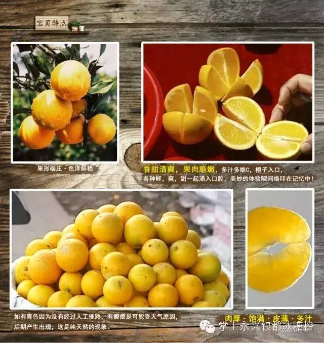 冰糖橙栽培技术视频_冰糖橙种植技术视频_冰糖橙的种植技术