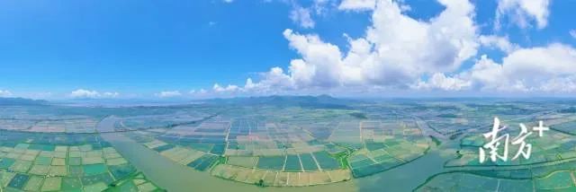 高质量推进现代化海洋牧场建设！江门：唱响海洋牧歌，打造“邑海粮仓”