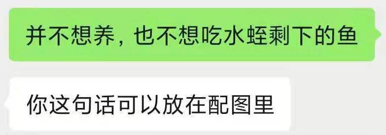 养殖蚂蝗能赚钱吗_致富养殖蚂蝗赚钱吗_养殖蚂蝗如何致富