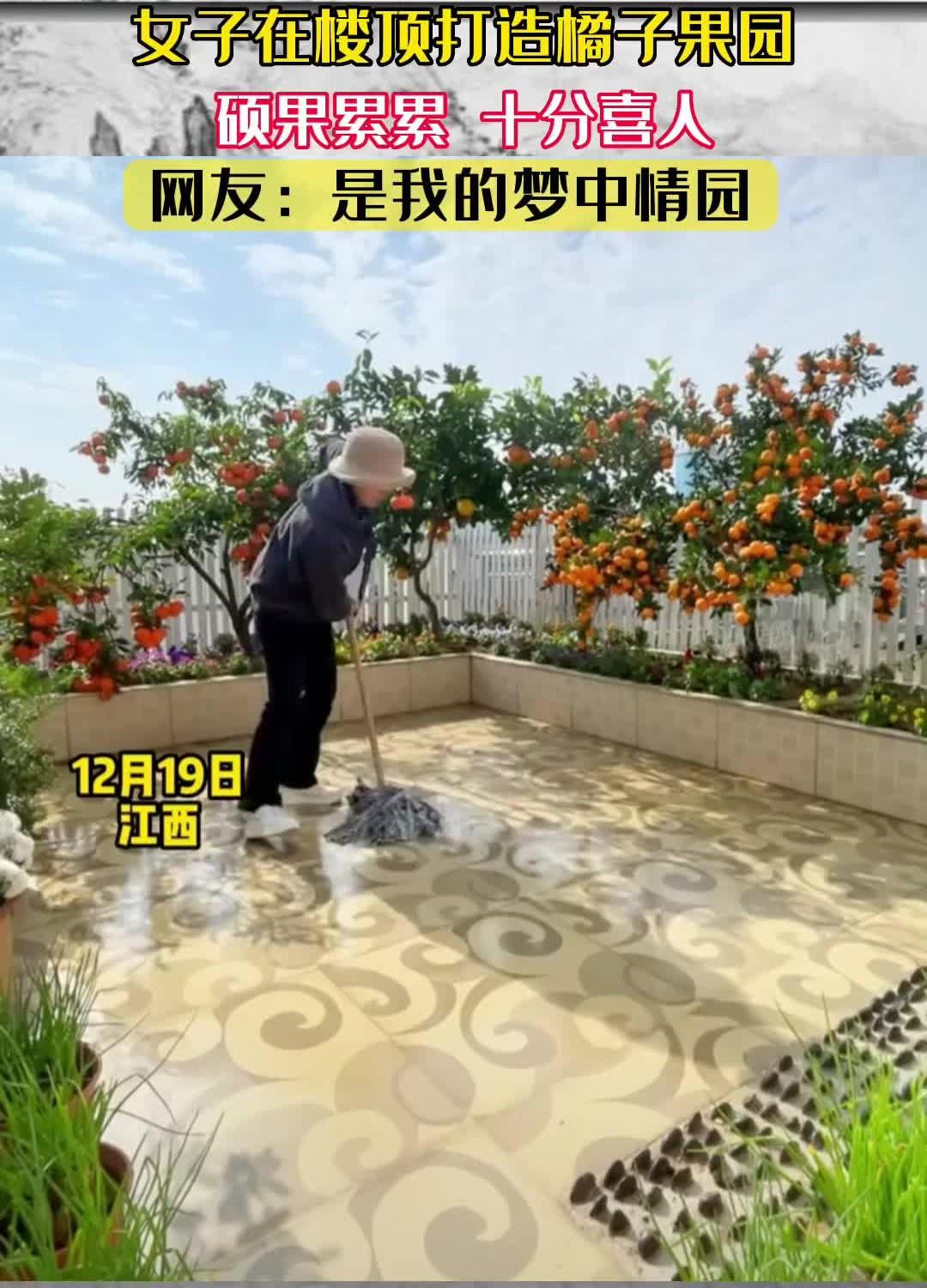 23岁女子楼顶建橘子园引67万人围观，硕果累累风景如画，一尘不染