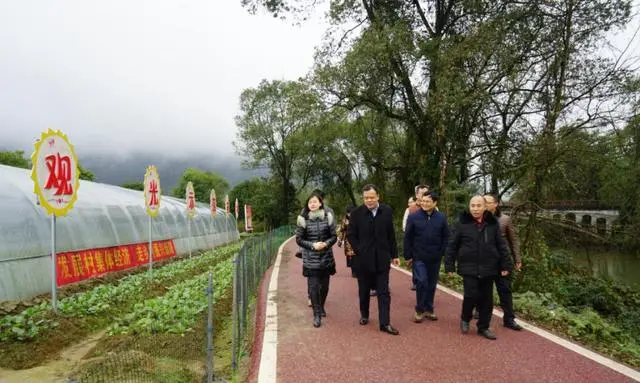 以桂林乡村振兴为案例，揭秘“一村一业”致富经