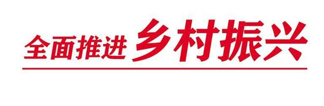 致富经种植韭黄_韭黄种植收益_致富经韭黄种植视频