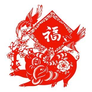 致富经二花脸猪_致富经二花脸猪_致富经二花脸猪