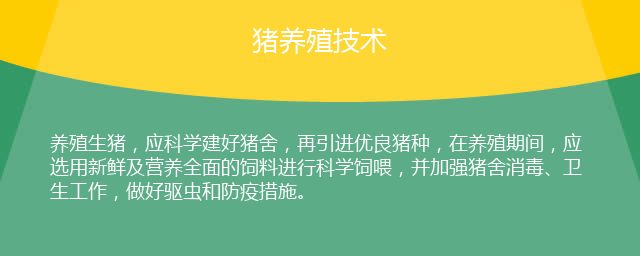 猪养殖技术