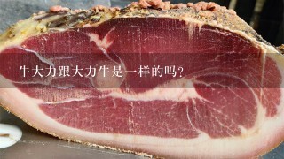 牛大力跟大力牛是1样的吗？