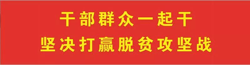 农村种什么致富快_小型致富机械500种_致富经种