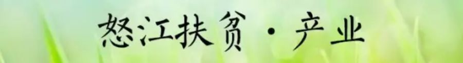 农村种什么致富快_小型致富机械500种_致富经种
