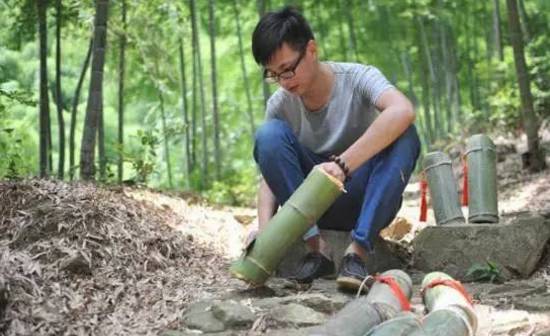 农村种什么能致富_致富经种_荒山种什么树致富