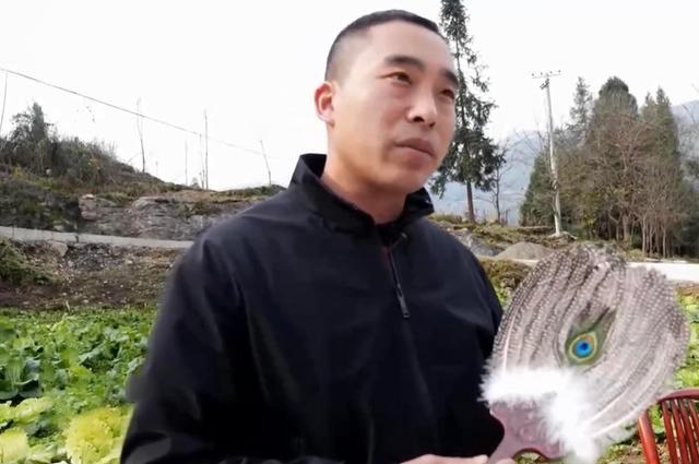 散养鸡致富经视频_视频致富散养鸡是真的吗_致富经散养蛋鸡视频
