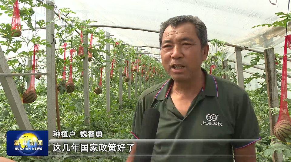 滑县：大力发展特色种植 拓宽群众增收渠道