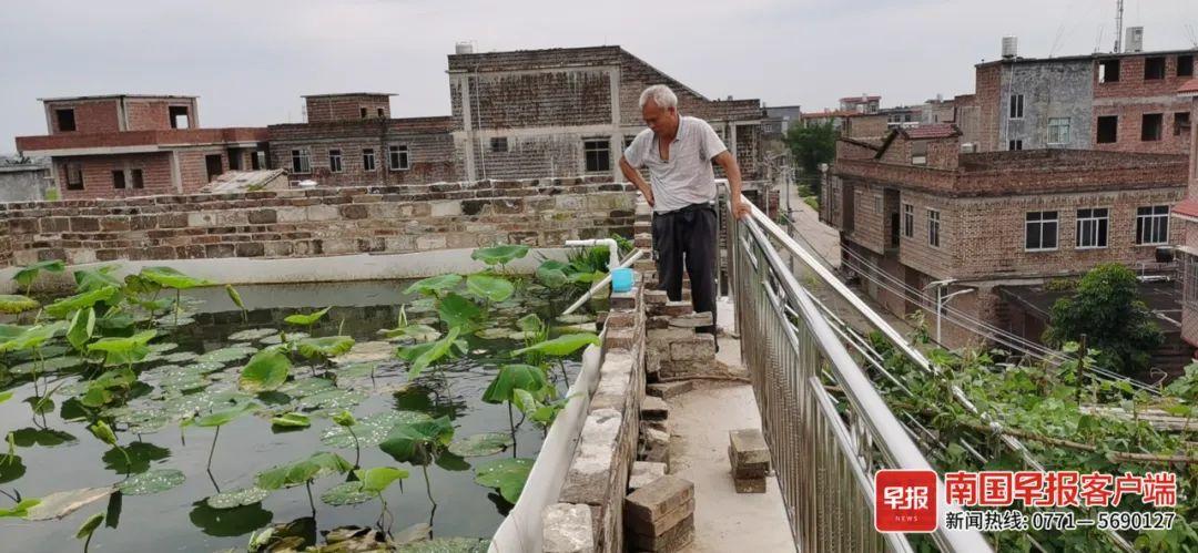 水稻致富那人叫啥名_种植水稻的视频直播_种植致富稻视频