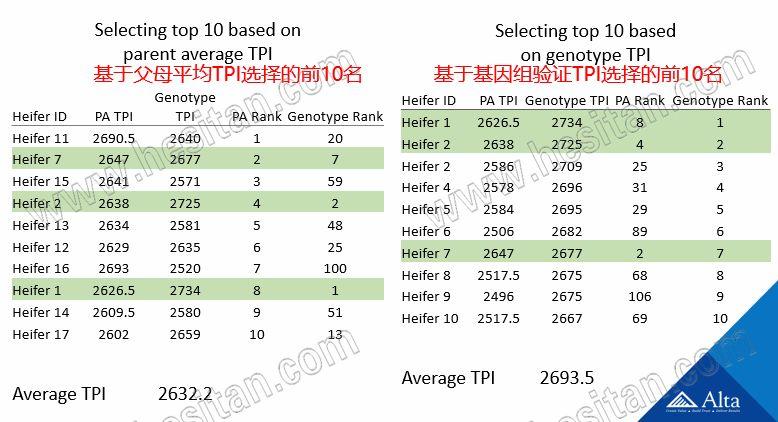 国外肉牛养殖技术视频_国外肉牛养殖场视频_美国肉牛养殖技术视频