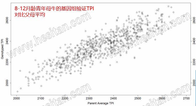国外肉牛养殖技术视频_国外肉牛养殖场视频_美国肉牛养殖技术视频