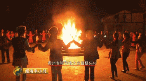 贵州养殖什么最好最赚钱_致富经贵州养殖最赚钱_贵州养殖业什么最赚钱