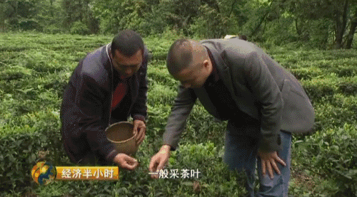 致富经贵州养殖最赚钱_贵州养殖什么最好最赚钱_贵州养殖业什么最赚钱