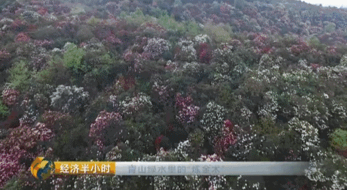 贵州养殖什么最好最赚钱_致富经贵州养殖最赚钱_贵州养殖业什么最赚钱