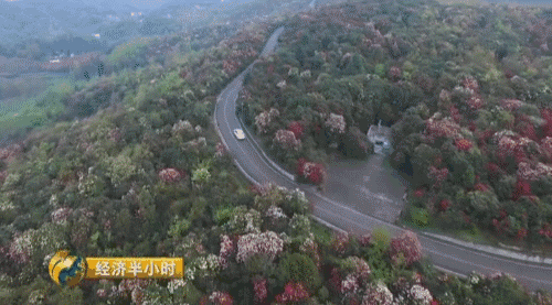 贵州养殖业什么最赚钱_致富经贵州养殖最赚钱_贵州养殖什么最好最赚钱
