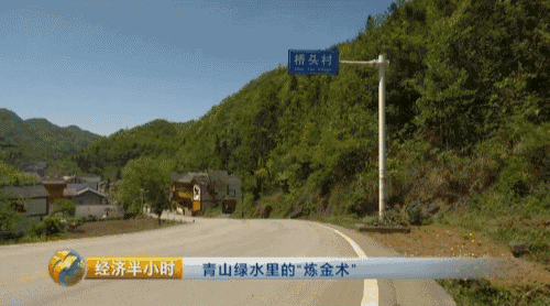 贵州养殖业什么最赚钱_致富经贵州养殖最赚钱_贵州养殖什么最好最赚钱