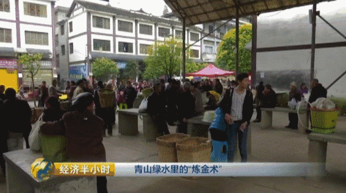 贵州养殖什么最好最赚钱_贵州养殖业什么最赚钱_致富经贵州养殖最赚钱
